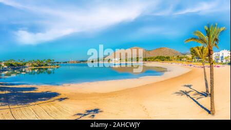 Plage de Alcudia, une belle plage de sable avec des palmiers sur Majorque, Espagne Mer Méditerranée Banque D'Images