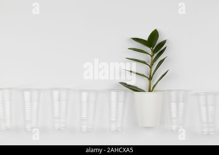 Eco Friendly, jetables en papier recyclable, compostable cup avec la branche parmi les verres en plastique sur fond blanc. copie espace vue supérieure. zéro a été Banque D'Images
