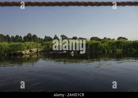 Vue d'un projet touristique sur la rivière Biebrza, parc national de Biebrza, Pologne Banque D'Images