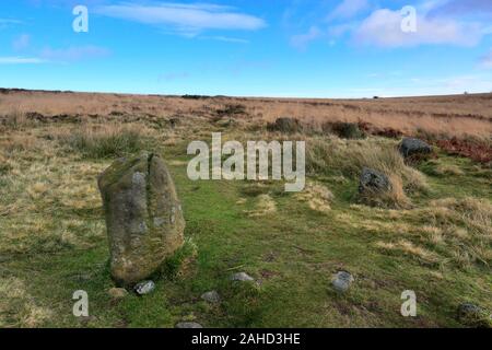 Vue sur Barbrook 1 Stone Circle, Ramsley Grand Moor, parc national de Peak District, Derbyshire, Angleterre, RU Banque D'Images