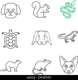 Animaux domestiques icons set linéaire. Maltese dog, écureuil, python, tortue, lapin, iguane, furet, souris, Sphynx canadien. Fine ligne contour des symboles. Ve isolés Illustration de Vecteur