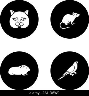 Animaux domestiques glyphe icons set. La chat, souris, Cavia, perruche. Vector silhouettes blanc illustrations de cercles noirs Illustration de Vecteur