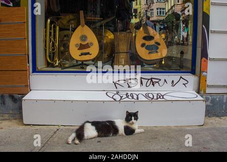 Istanbul, Turquie - 9 septembre 2019. Un chat de rue salons hors un magasin de musique dans le quartier de Galata Beyoglu, Istanbul Banque D'Images