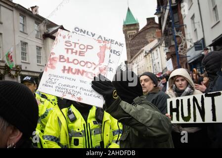 Abergavenny, Monmouthshire, Wales, UK. 26 décembre 2019. Des centaines de spectateurs et les partisans des droits des animaux se rassemblent à Abergavenny. Banque D'Images