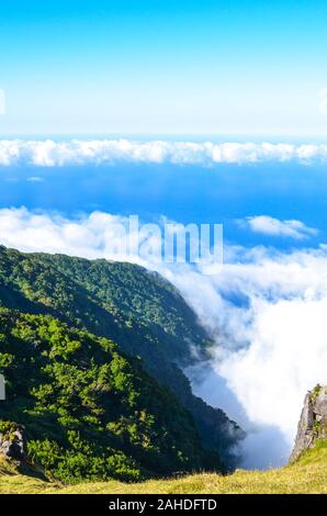 Vue de dessus les nuages dans le fanal, l'île de Madère, au Portugal. Vieux arbres, laurel laurisilva, sur une colline. Forêt de lauriers au-dessus de l'océan Atlantique sur un rocher abrupt. Les eaux bleues de l'océan Atlantique. Banque D'Images