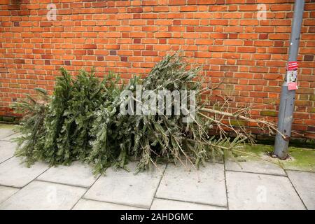 Un tas d'arbres de Noël à gauche sur la chaussée de Haringey, au nord de Londres, à seulement trois jours après le jour de Noël. Banque D'Images