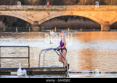 Un jour de Noël entre dans le nageur en eau libre, la froide surveillée par un cygne, Peter Pan Cup annuelle course natation Club de natation, la serpentine, à Hyde Park, Londres Banque D'Images