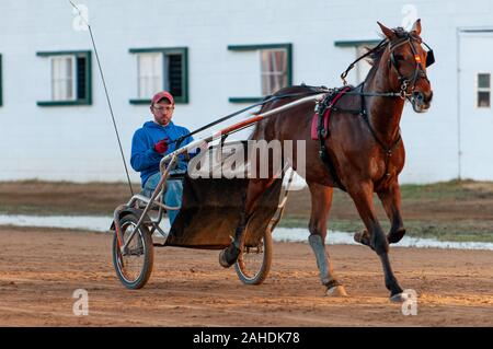 Pinehurst, Caroline du Nord, USA. 28 Dec, 2019. 28 décembre 2019 - Pinehurst, Caroline du Nord, USA - JAY HOCHSTETLER exerce l'un de ses chevaux au cours de la formation d'hiver à la conduite & Training Club Pinehurst Pinehurst, Voie du faisceau, Pinehurst, Caroline du Nord. Hochstetler Homer Course d'équitation est l'un des nombreux coureurs du faisceau de la nord-est des États-Unis qui viennent à Pinehurst pour la formation d'hiver. Credit : Timothy L. Hale/ZUMA/Alamy Fil Live News Banque D'Images