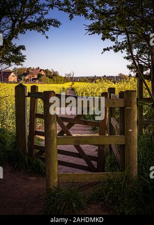 Porte rustique en bois menant à un sentier pittoresque entouré de champs d'or luxuriants Banque D'Images