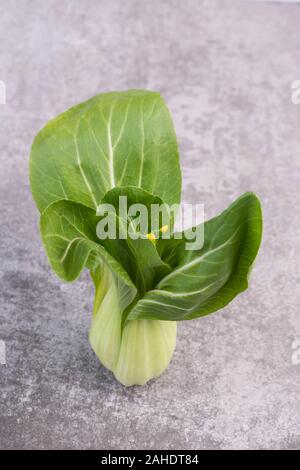 Pak choi sur un fond texturé gris vide, copy space Banque D'Images