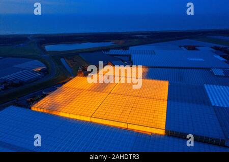 Luchtfoto van de kassen in het Westland 'De Glazen Stad' bij nacht Banque D'Images