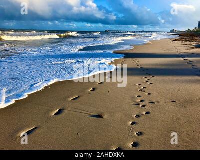 Écume de mer vagues se brisant sur la plage Banque D'Images