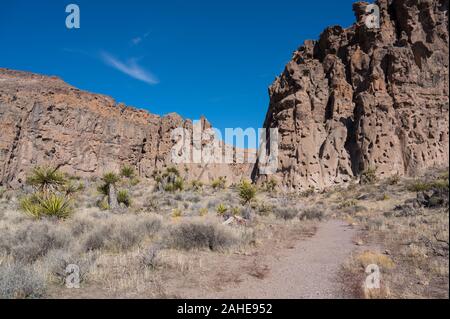 Des trous dans les roches volcaniques vu sur le sentier en boucle de l'anneau dans le désert de Mojave National Preserve en Californie, USA Banque D'Images