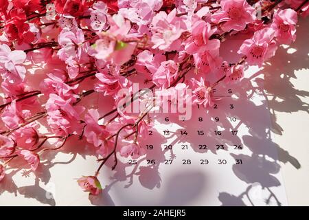 Close-up image de branches de pêchers en fleurs arbre sur feuille de calendrier Banque D'Images