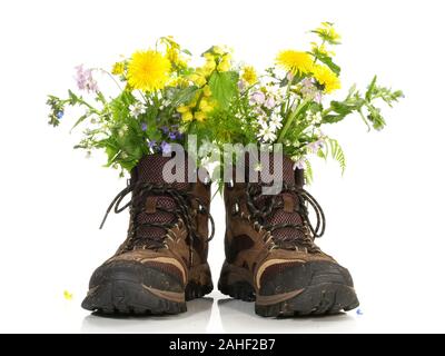 Des chaussures de randonnée avec des fleurs sur fond blanc Banque D'Images