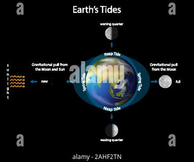 Schéma montrant les marées de la terre avec de la terre et de la lune illustration Illustration de Vecteur