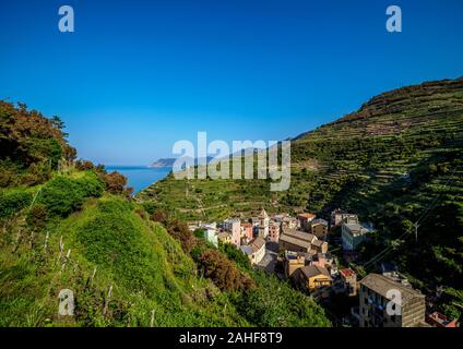 Manarola Village, elevated view, Cinque Terre, UNESCO World Heritage Site, ligurie, italie Banque D'Images