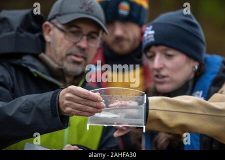 Thames Water Fish Survey réalisée par la Société zoologique de Londres (ZSL) dans l'estuaire de la Tamise près de Greenwich, au sud-est de Londres, Royaume-Uni Banque D'Images