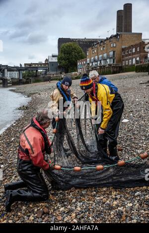 Thames Water Fish Survey réalisée par la Société zoologique de Londres (ZSL) dans l'estuaire de la Tamise près de Greenwich, au sud-est de Londres, Royaume-Uni Banque D'Images