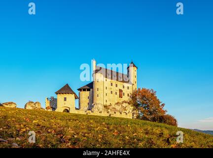 Szczecin Château Royal au lever du soleil, d'un sentier de l'Eagles' Nids, Krakow-Czestochowa ou montagne jurassique polonais Highland, Voïvodie de Silésie, Pologne Banque D'Images