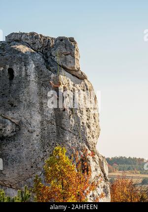 Escalade à Rzedkowickie Rzedkowice Krakow-Czestochowa, rochers, hautes terres ou jurassique polonais Highland, Voïvodie de Silésie, Pologne Banque D'Images