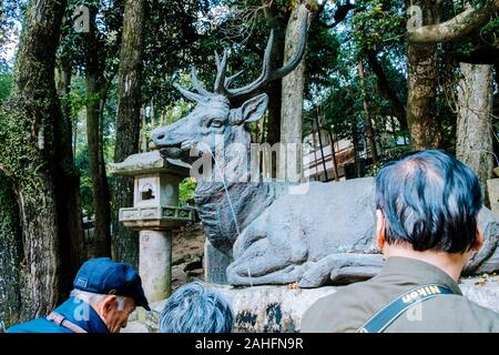 Fontaine de cerfs à Nara, au Japon. L'ancienne capitale est célèbre pour sa population de cerfs apprivoisés qui vit dans les parcs des villes. Banque D'Images