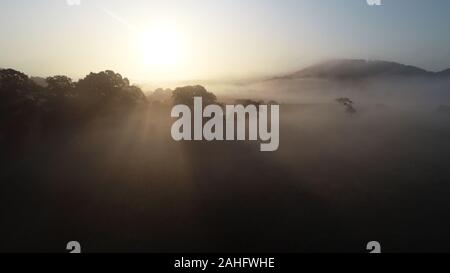 Lever du soleil et le brouillard dans la vallée de la rivière, Ravning Vejle, Danemark Banque D'Images