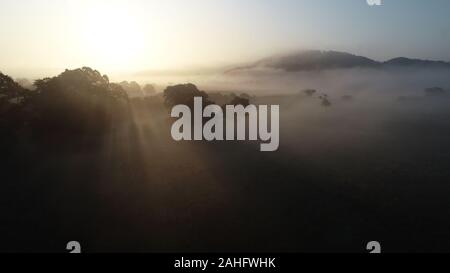 Lever du soleil et le brouillard dans la vallée de la rivière, Ravning Vejle, Danemark Banque D'Images