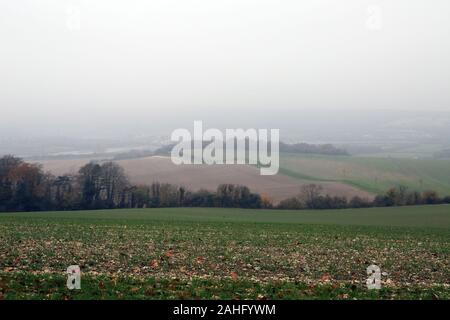 Vue sur la vallée de Medway depuis North Downs à Wouldham près de Rochester dans le Kent, Angleterre Banque D'Images