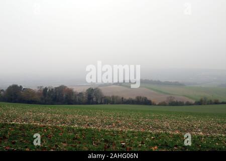 Vue sur la vallée de Medway depuis North Downs à Wouldham près de Rochester dans le Kent, Angleterre Banque D'Images