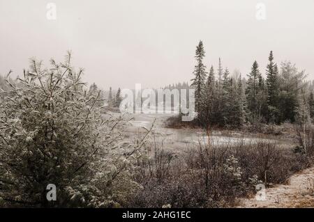 Paysage d'hiver dans la forêt, les arbres montrant frosty rivière gelée, ciel gris, la neige au sol et de la rivière avec une sensation de froid et de tranquillité. Banque D'Images