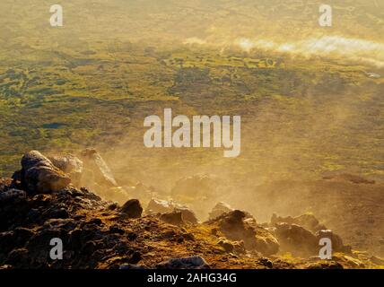 Sortir la vapeur de la pente du mont Pico, l'île de Pico, Açores, Portugal Banque D'Images