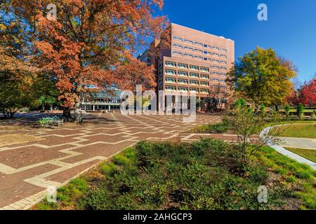 RALEIGH, NC, USA - 24 novembre : University Plaza, également connu sous le nom de "La Briqueterie" le 24 novembre 2017, à la North Carolina State University à Raleigh, No Banque D'Images