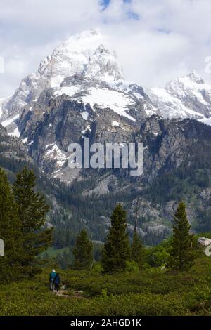 Randonneurs sur le sentier du lac Taggart, Parc National de Grand Teton, Wyoming, United States Banque D'Images