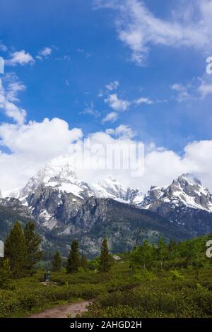 Randonneurs sur le sentier du lac Taggart, Parc National de Grand Teton, Wyoming, United States Banque D'Images