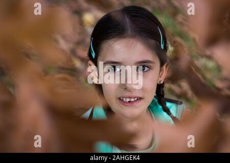 Adorable petite fille près encadrée de feuilles brunes. Portrait d'un enfant mignon regardant les branches d'arbres dans la forêt pendant la saison d'automne Banque D'Images