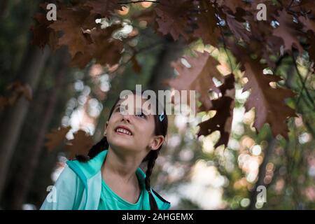 Une jolie fille souriante qui regarde les feuilles brunes des branches d'arbres avec une expression grandiose. Joyeux petit enfant captivé par la saison d'automne dans la forêt Banque D'Images