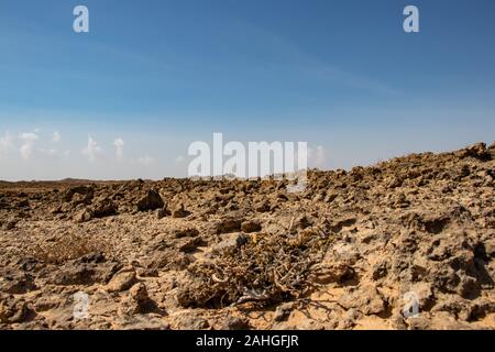 Désert de pierre jiddat al Harasis en Oman Banque D'Images