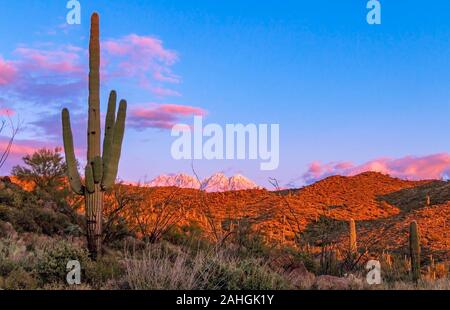 Saguaro cactus avec de la neige sur les montagnes à l'aire de loisirs quatre pics en Arizona Banque D'Images