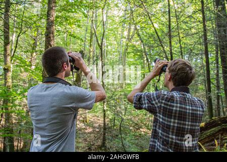 Deux jeunes hommes l'observation des oiseaux dans les bois Banque D'Images