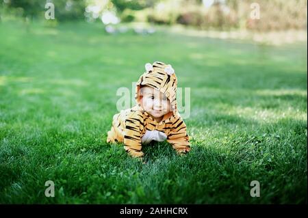 Mignon bébé garçon vêtu d'un costume de tigre assis dans l'herbe au parc Banque D'Images