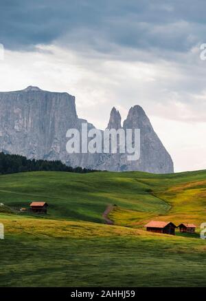 Quelques photos de la belle, Sudtirol Seiser Alm, un lieu célèbre pour les vacances, avec ses prairies de fleurs, les pics, et des chalets. Banque D'Images
