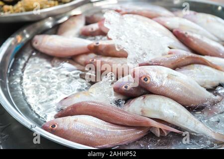 Poisson rouge mis en place avec de la glace sur le bac pour la vente au cours du marché Banque D'Images