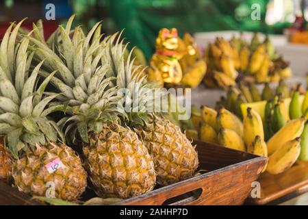 Groupe de pine apple mis dans le panier, certains ont : stick sur elle et avoir la banane et jouet pour chat doré en arrière-plan Banque D'Images
