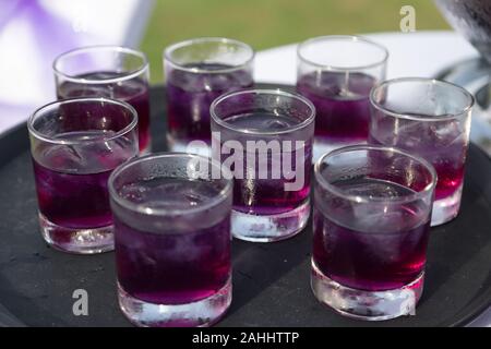 L'eau de fleurs de pois dans cups pour servir à l'invité sur le plateau noir Banque D'Images