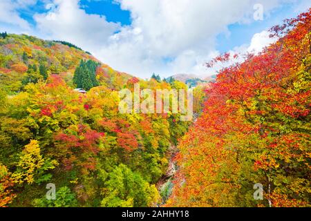 Oyasukyo Gorge, dans la préfecture d'Akita, Tohoku, Japon. Banque D'Images