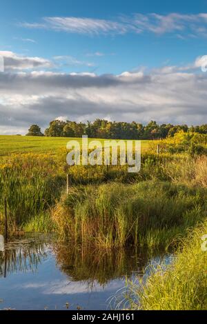 Le champ d'un agriculteur sur une belle journée d'automne dans le nord du Wisconsin. Banque D'Images