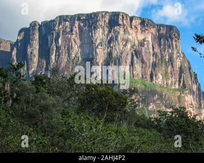 Tepuy impressionnant, table-top mountain, dans le Parc national Canaima, Venezuela Banque D'Images