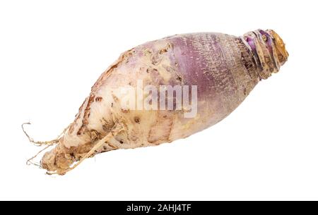 Racine de rutabaga frais isolé sur fond blanc Banque D'Images