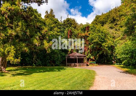 Raukuri Annif, Waitomo, Waikato, Nouvelle-Zélande Banque D'Images